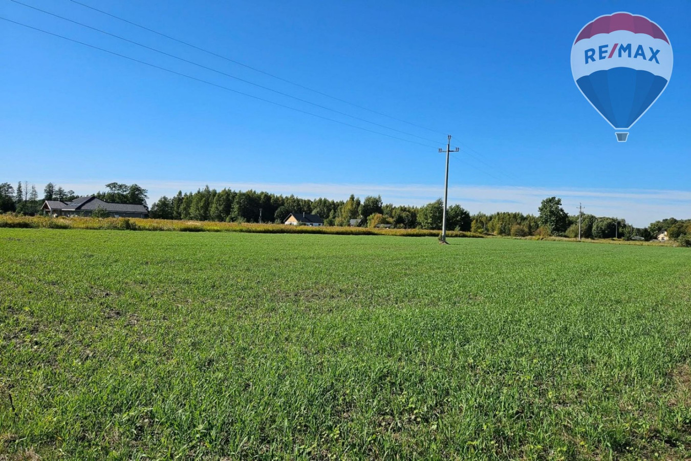 Działka budowlana 4180 m², Benenard, gm. Radziejowice - Widok 2