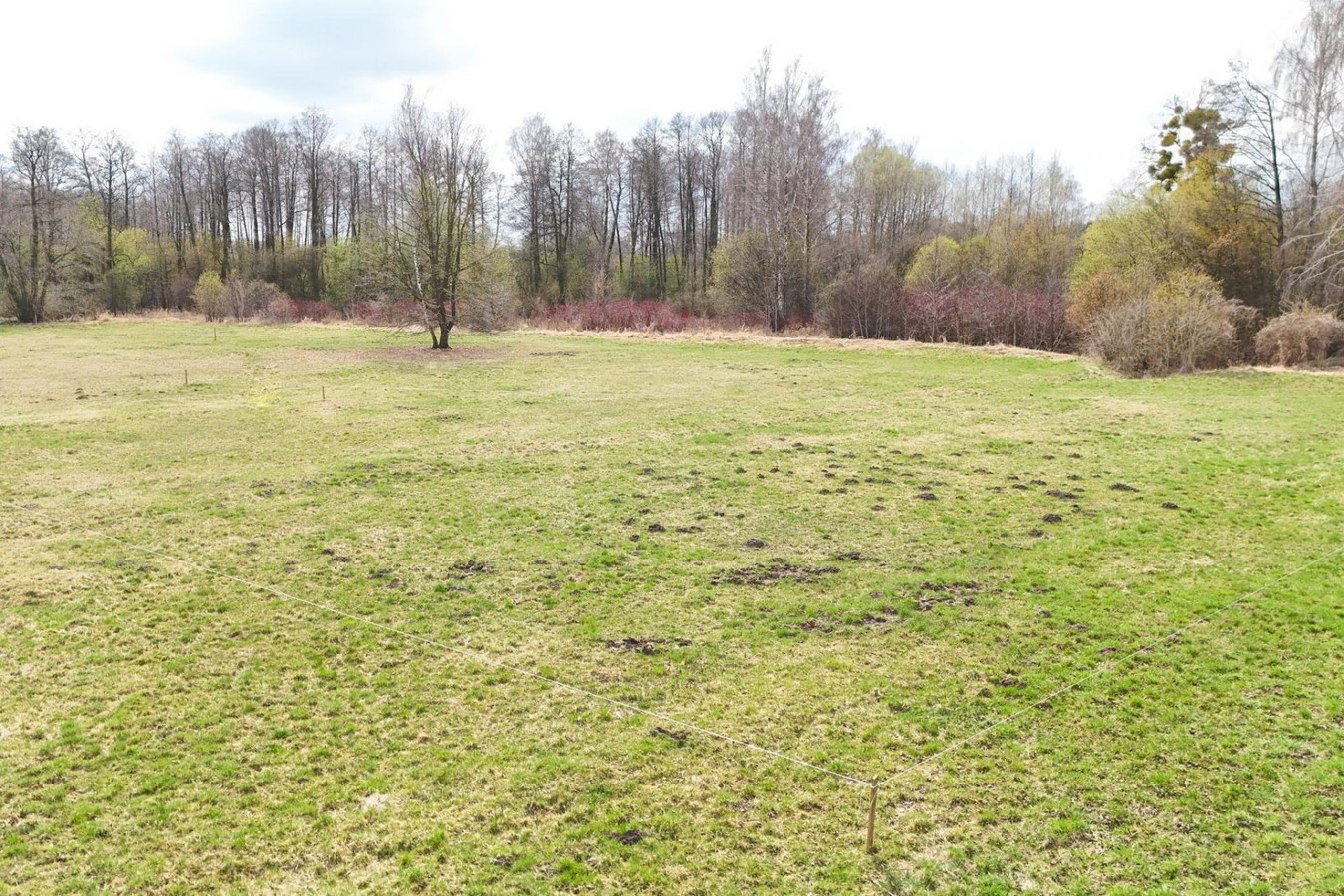 Działka nad rzeką , pow. 2842 m² Budy Zosine / WZ - Widok 5