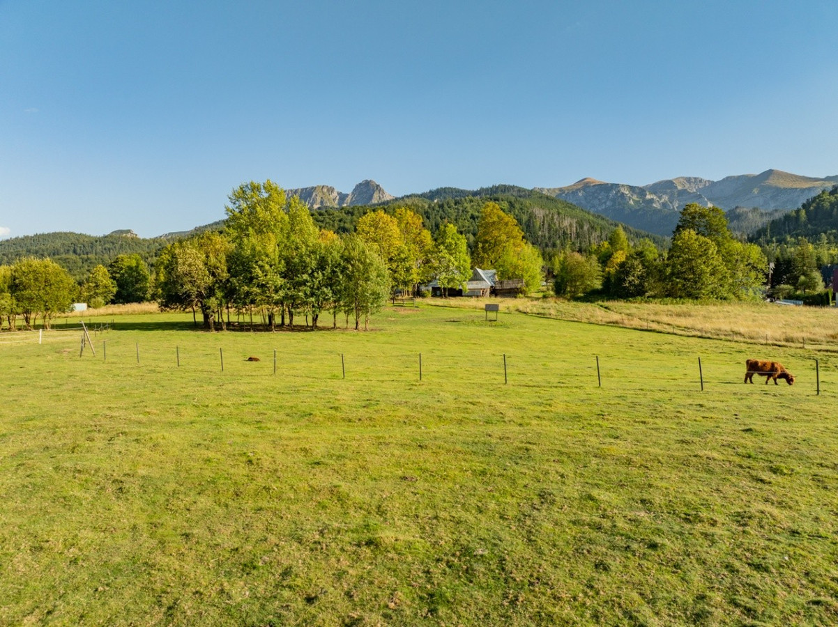 Działka rolna 3115 m² | Kościelisko - Widok 2