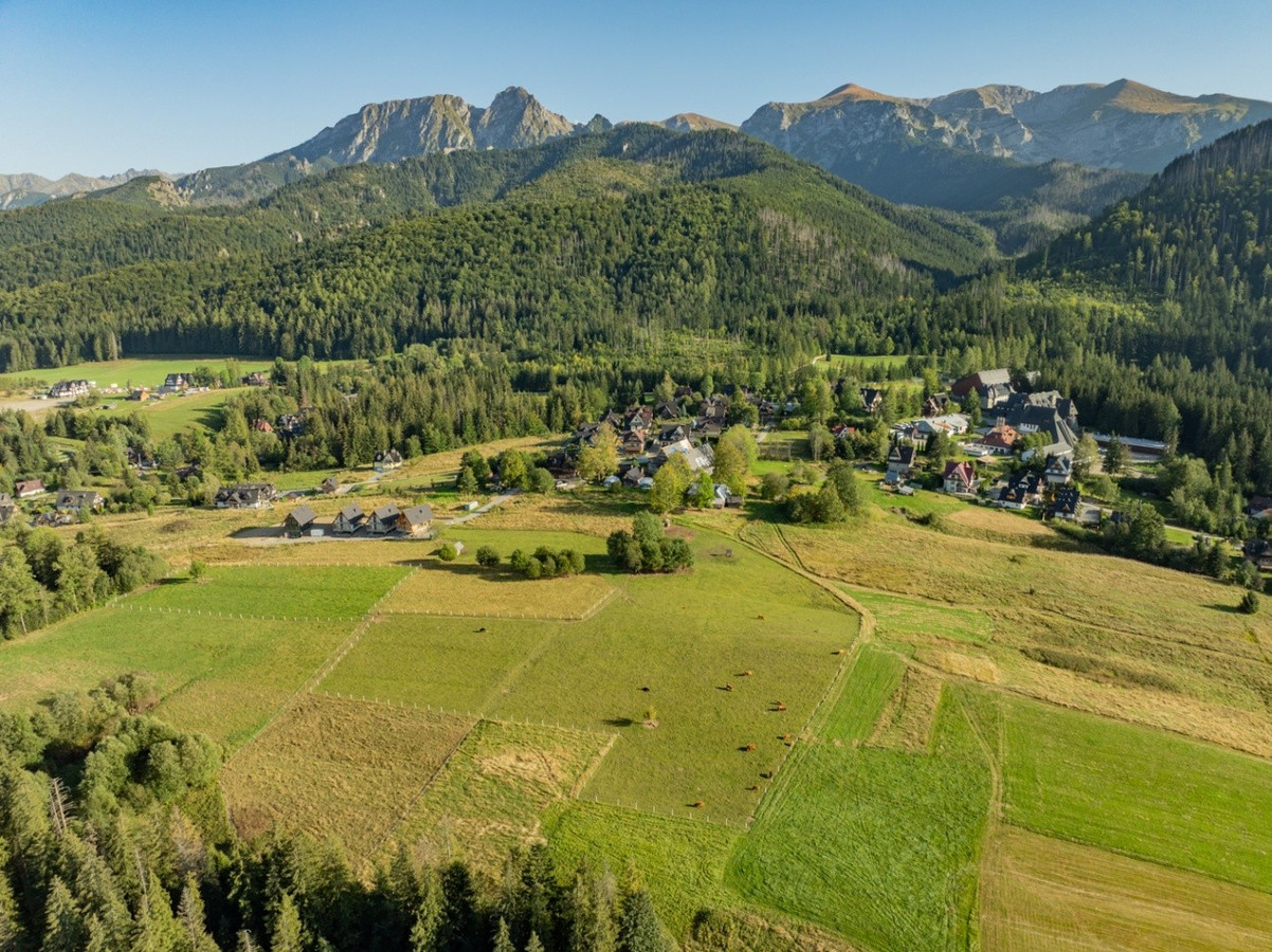 Działka rolna 3115 m² | Kościelisko - Widok 4