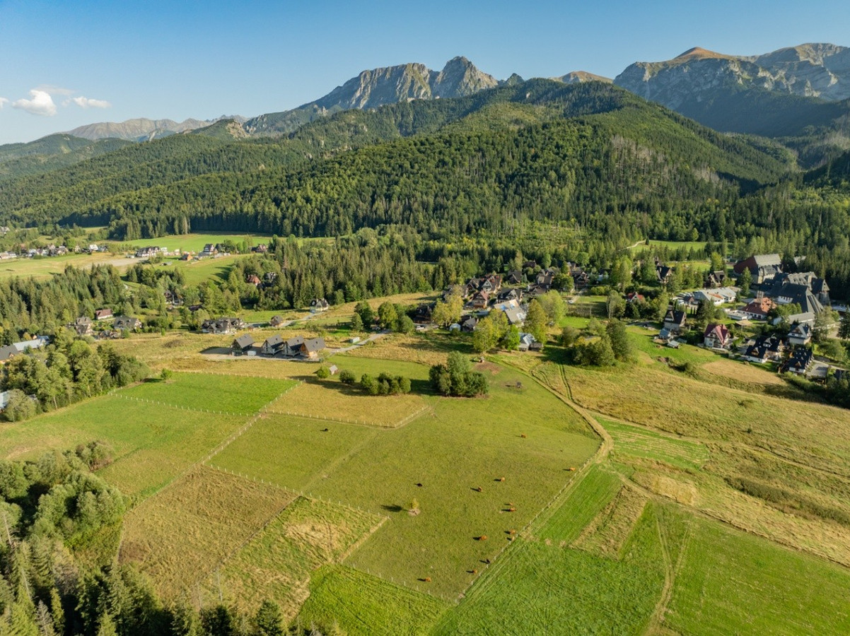 Działka rolna 3115 m² | Kościelisko - Widok 5