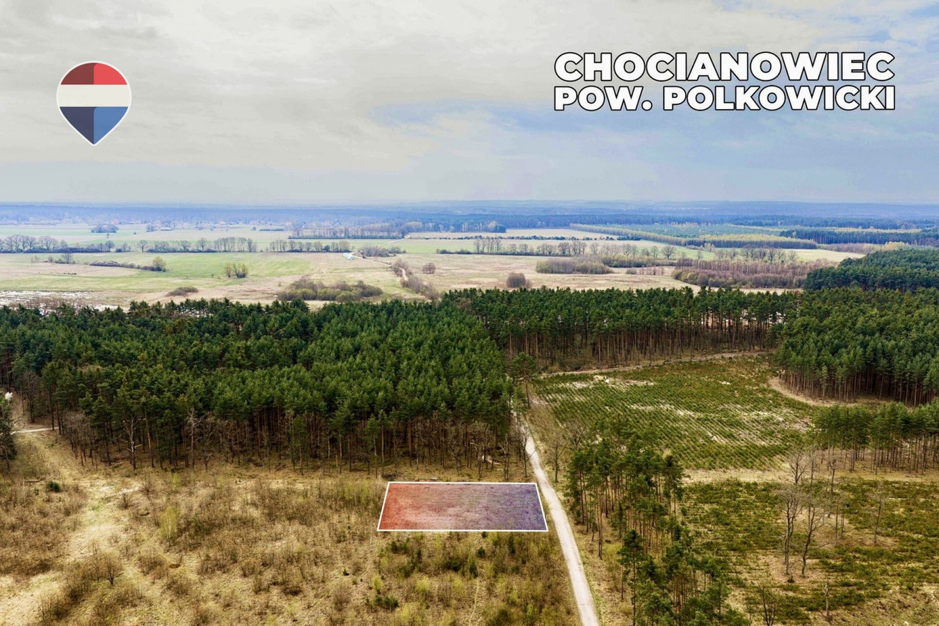 Działka budowlana w bezpośrednim sąsiedztwie lasu - Widok 3