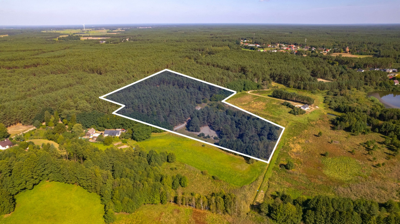 Teren 3,5ha w sercu Puszczy Noteckiej|Prywatny las - Widok 5