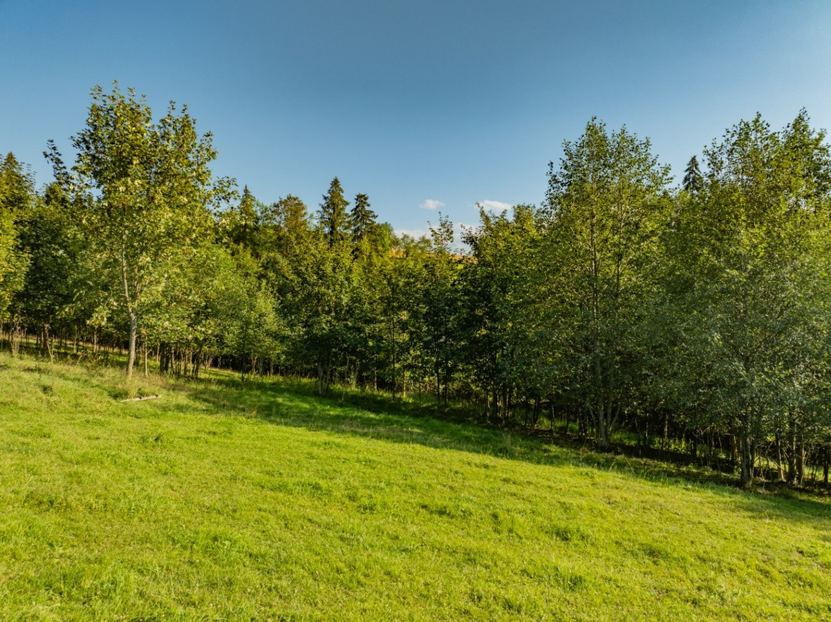 Urocza działka w Gliczarowie Dolnym - Widok 3