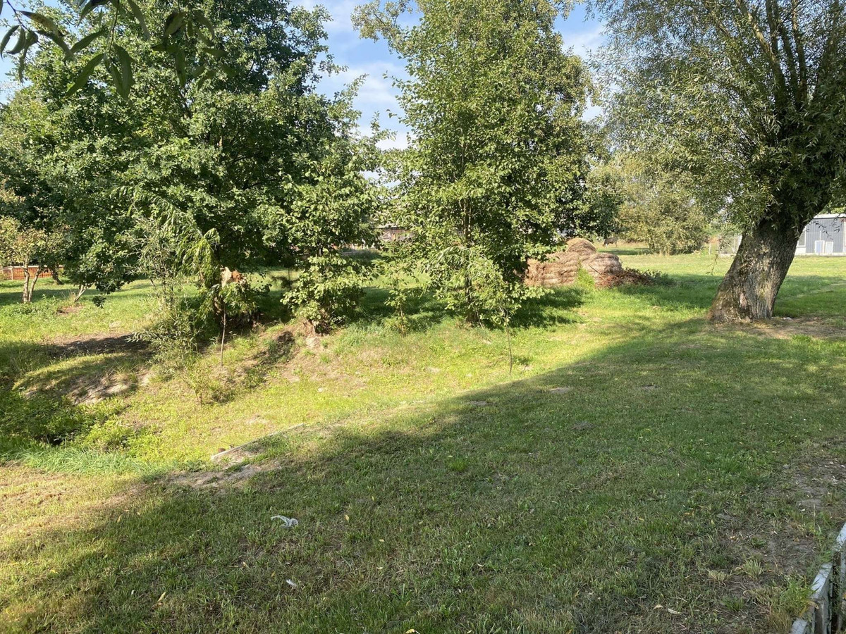 Działka nad rzeką Liwiec - Widok 3