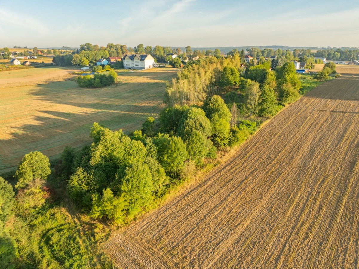 80 arów | pozwolenie na budowę 2 domów - Widok 2
