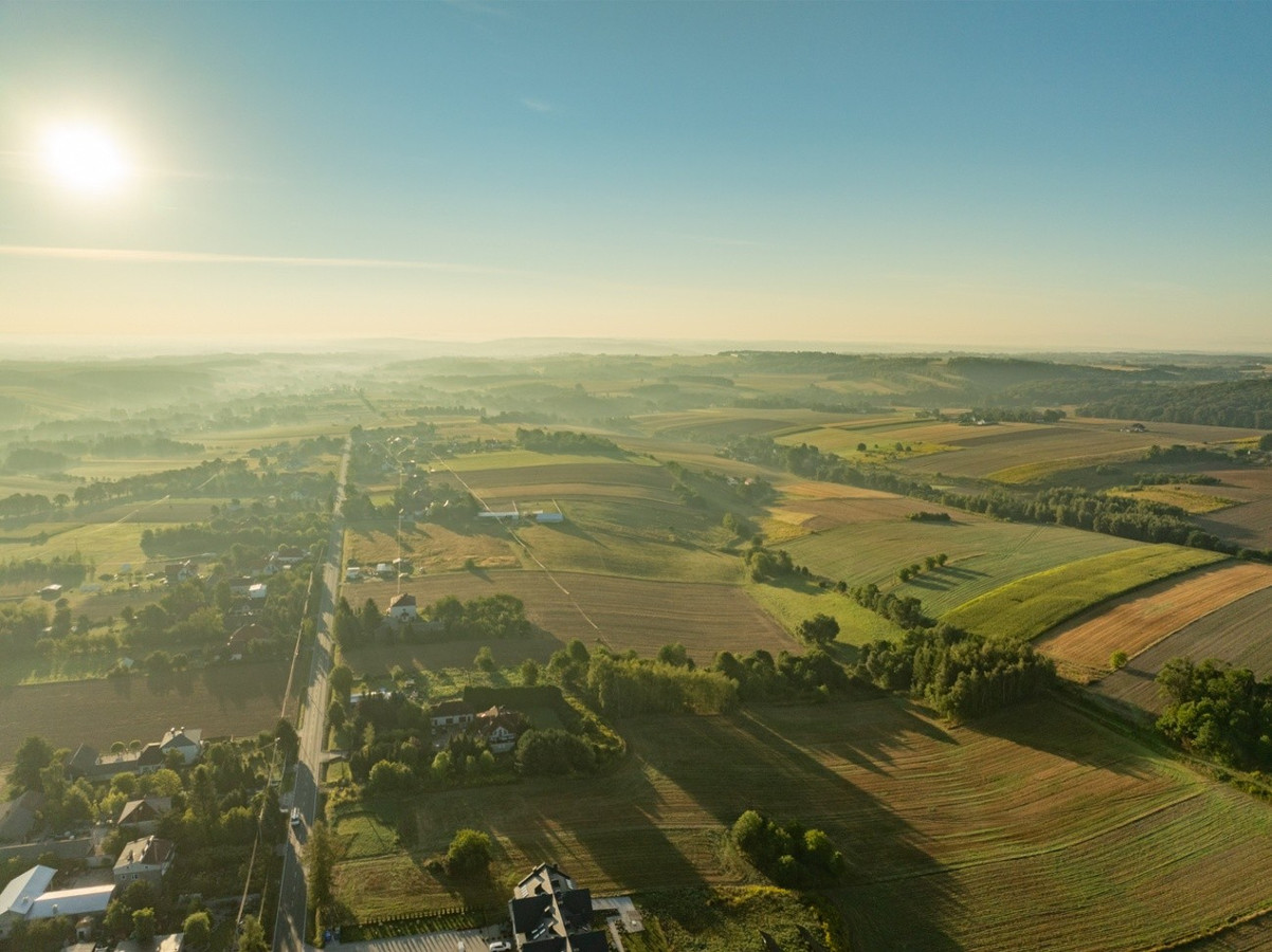 80 arów | pozwolenie na budowę 2 domów - Widok 4