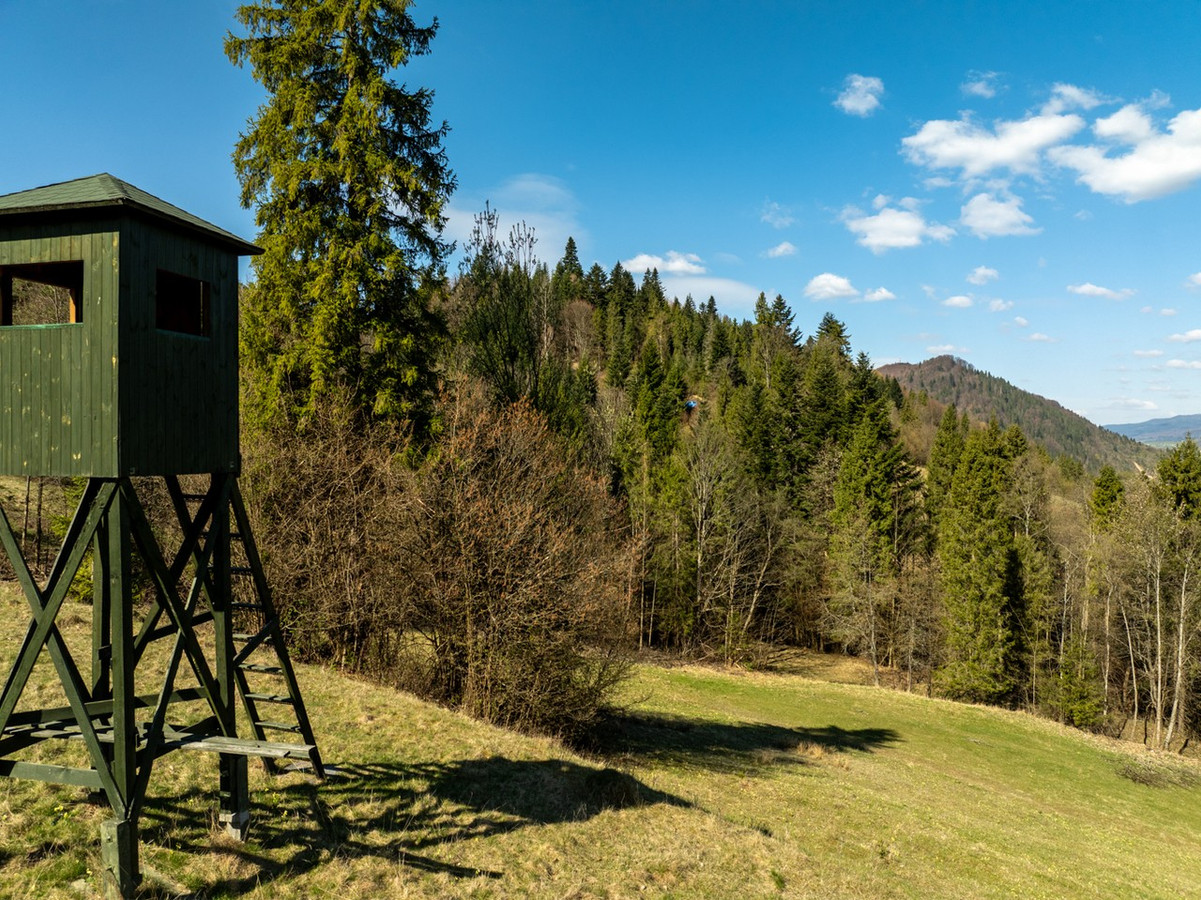 Działka widokowa | Szlachtowa | ok. 1921 m² - View 4