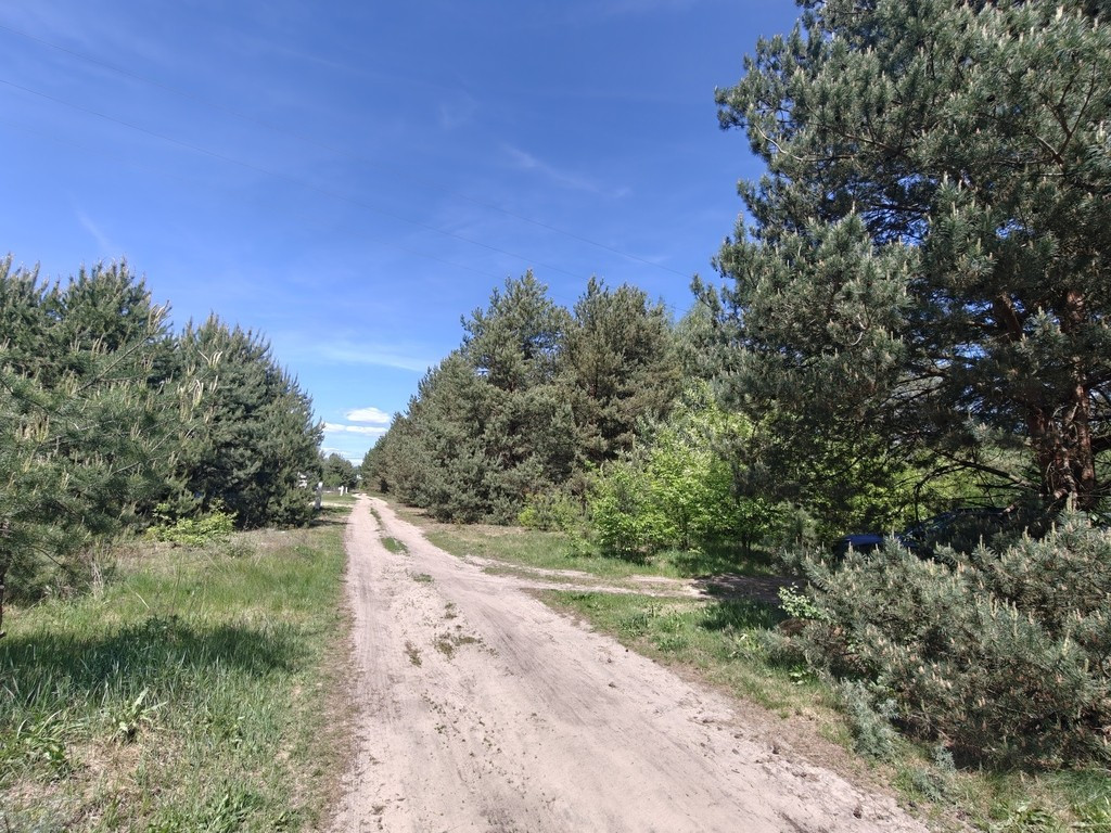 Michałów - urokliwa działka budowlana 5500 m² - Widok 2