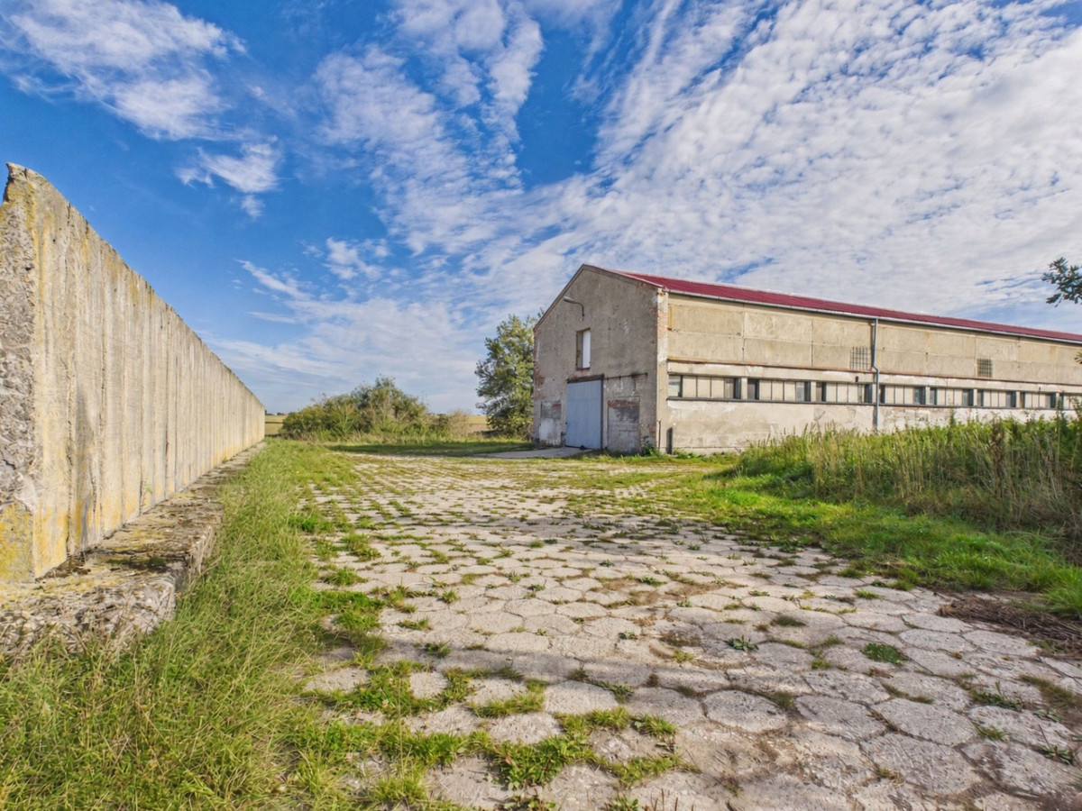 Hala magazynowo-produkcyjna 1800 m², dwie kondygnacje | Sztumska Wieś - Widok 4