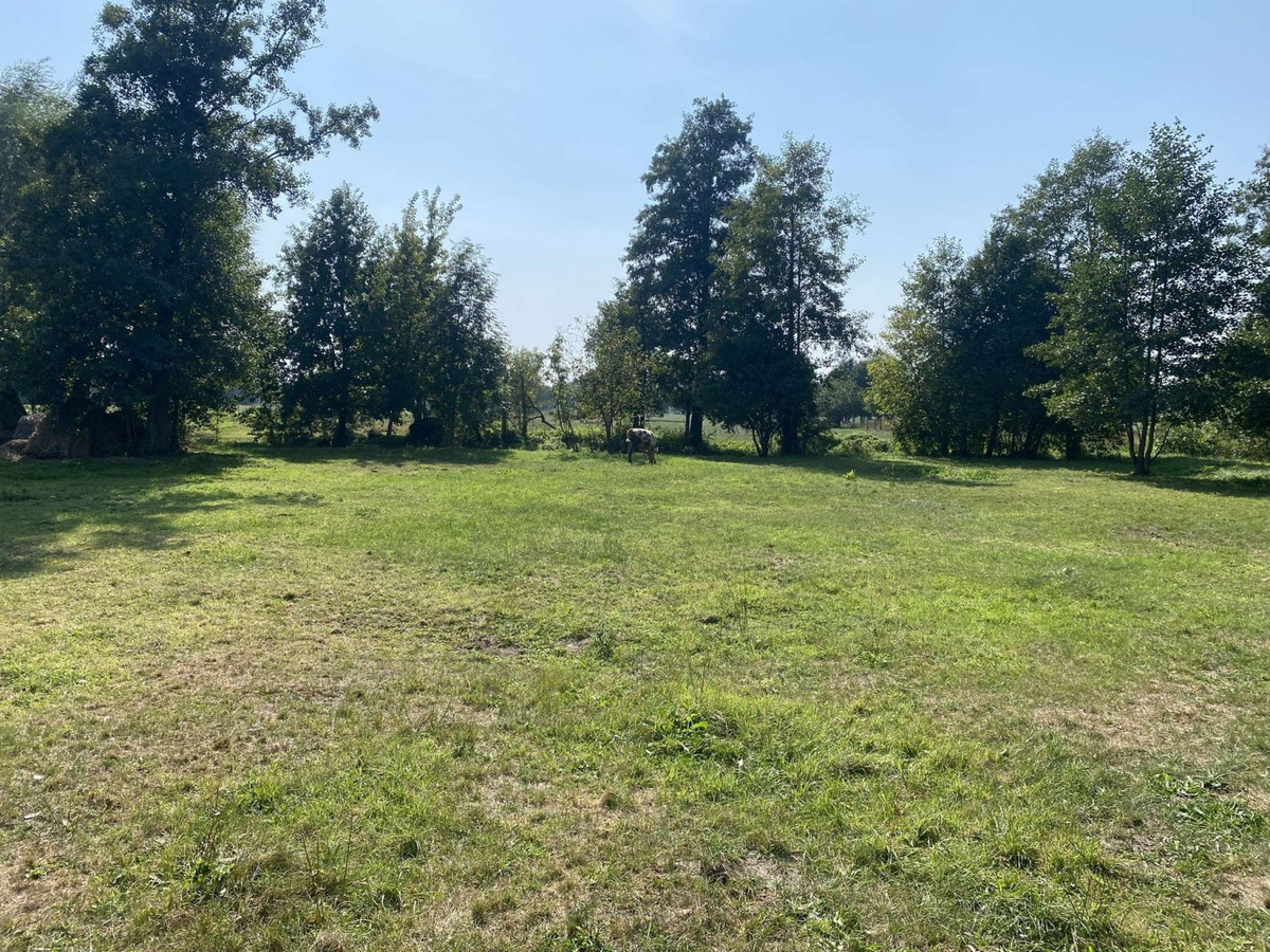 Działka nad rzeką Liwiec - Widok 5