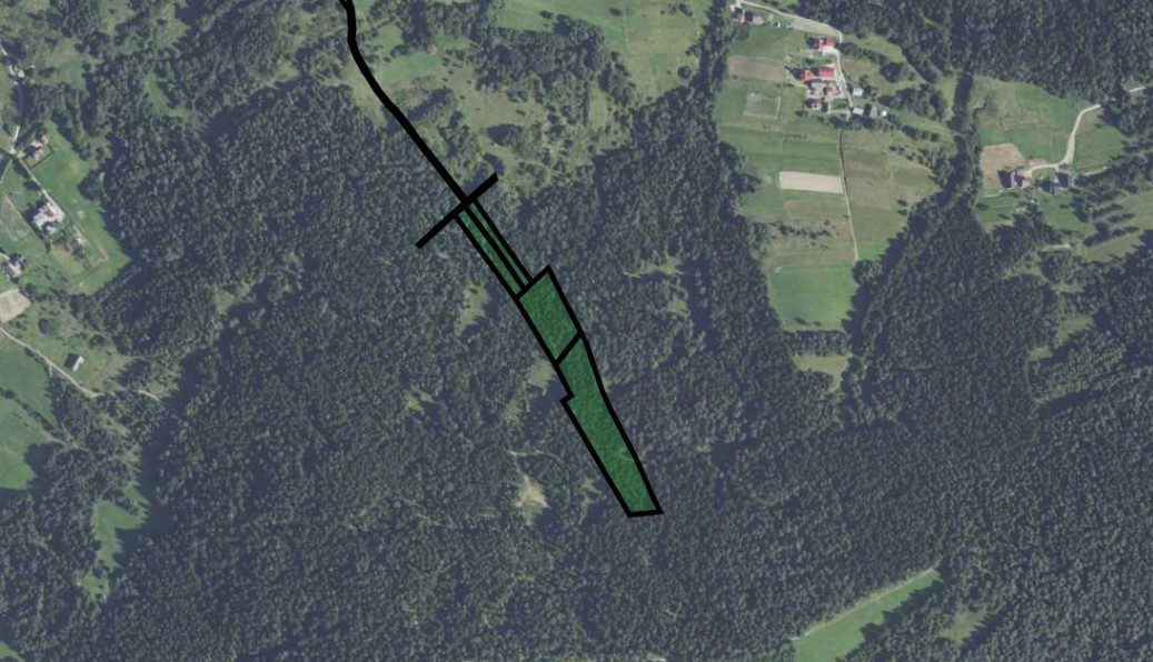 Działka leśna 20 700 m² – Kasina Wielka - Widok 3