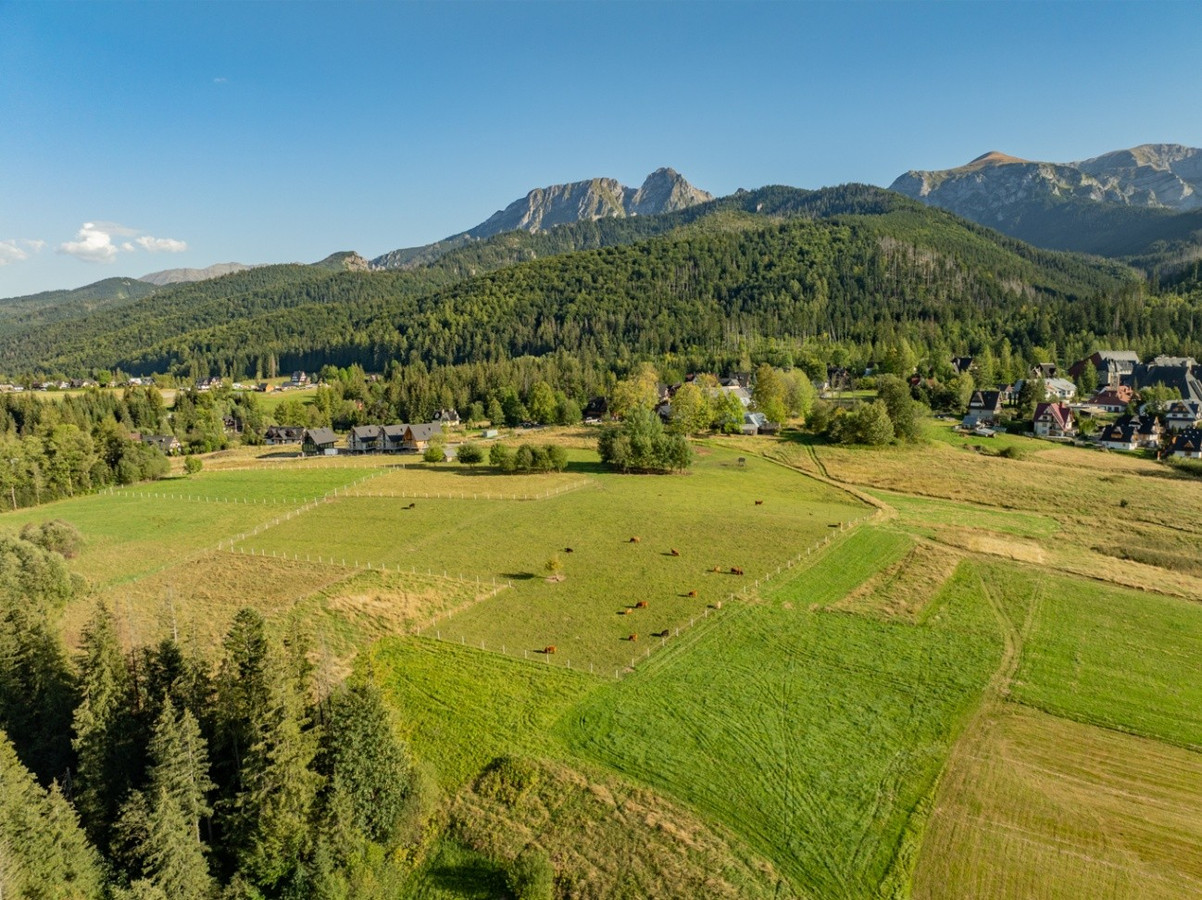 Działka rolna 3115 m² | Kościelisko - Więcej