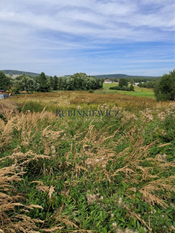 Działka 0,58 ha Brzezinki Masłów - Widok 3
