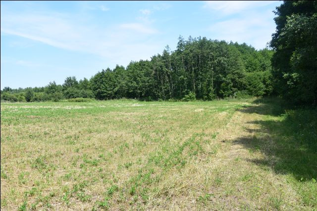 gratka-14735/01909-PG - Widok 4