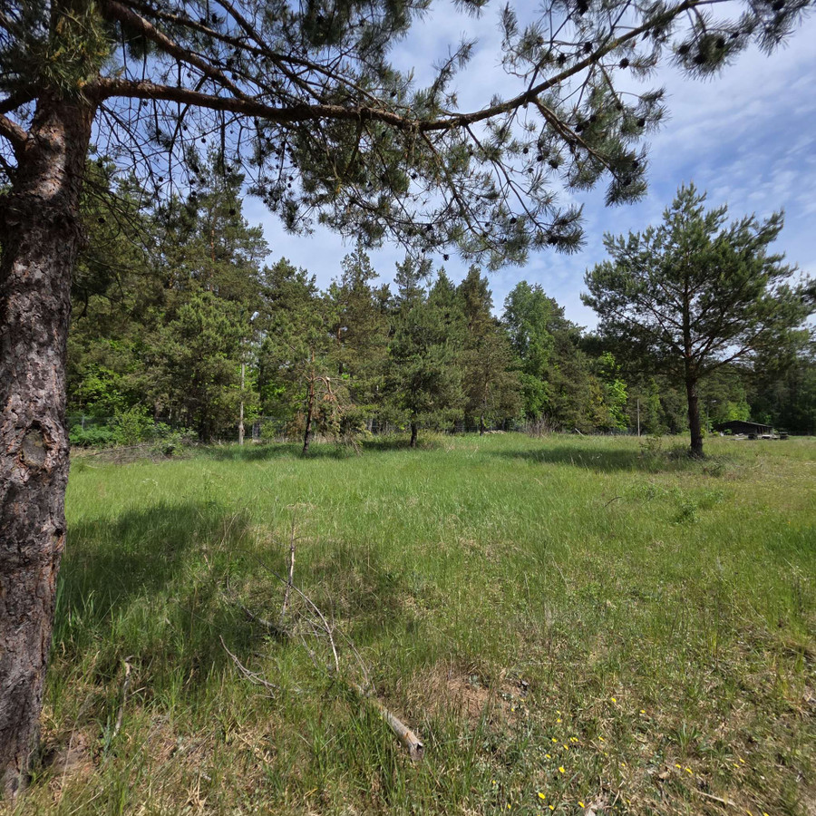 Działka budowlana 1568 m² w m. Wójtowo - Widok 4