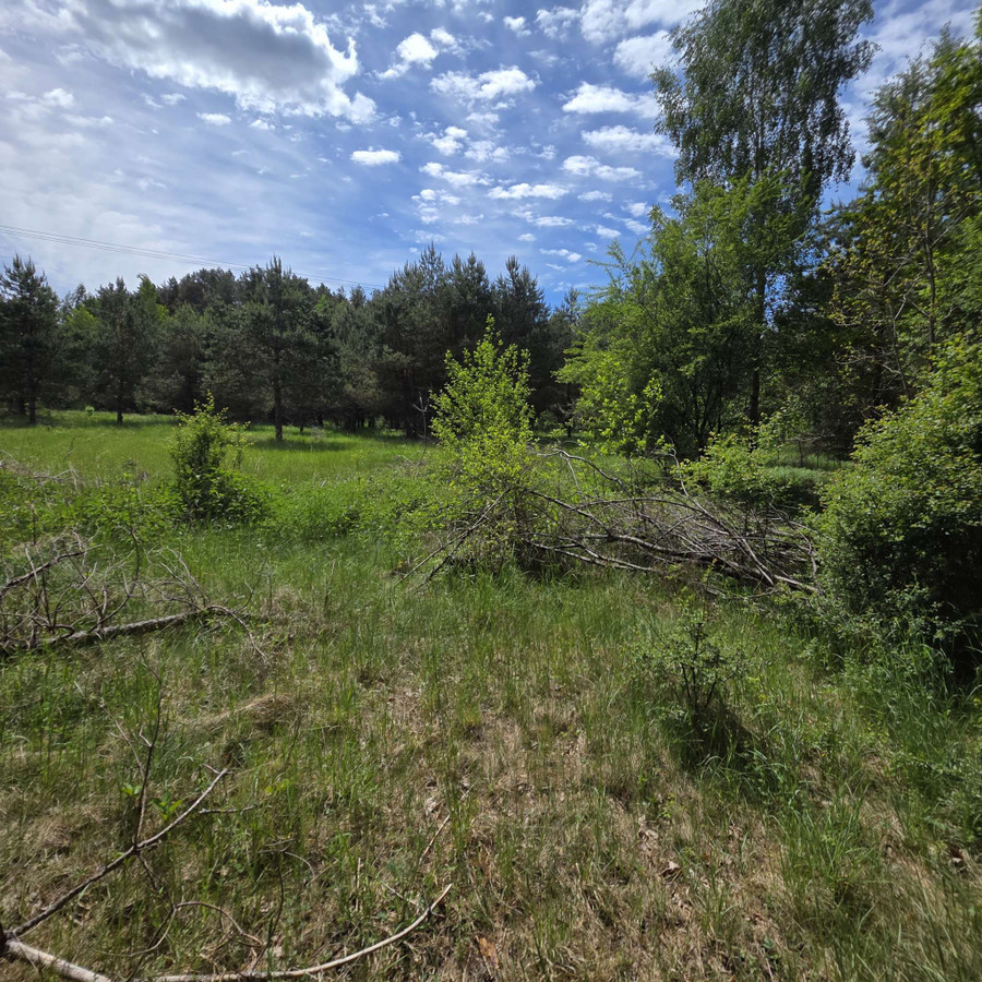 Działka budowlana 1545 m² Wójtowo - Widok 5