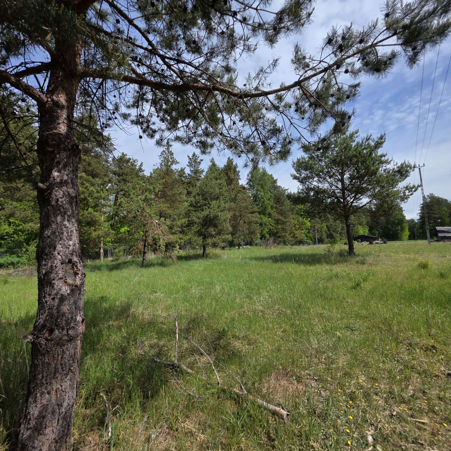 Działka budowlana 1568 m² w m. Wójtowo - Widok 3