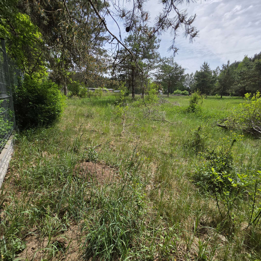 Działka budowlana 1545 m² Wójtowo - Widok 4