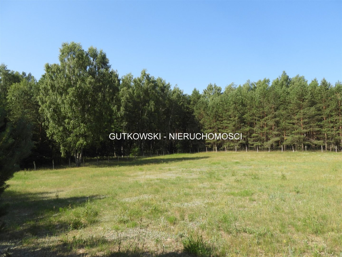 Teren rolno - leśny ~1,31 ha (gospod.) na Pojezierzu Brodnickim na Mazura - Więcej