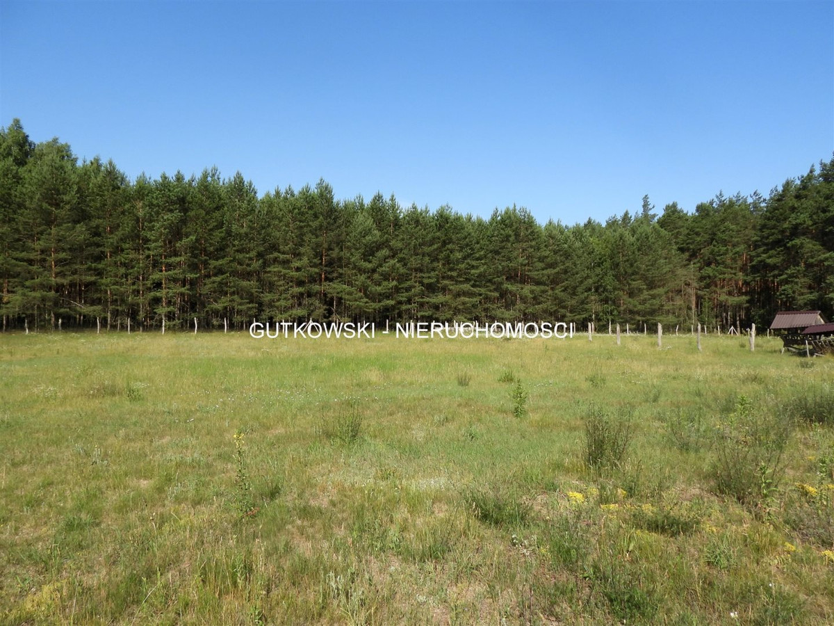 Teren rolno - leśny ~1,31 ha (gospod.) na Pojezierzu Brodnickim na Mazura - Widok 2