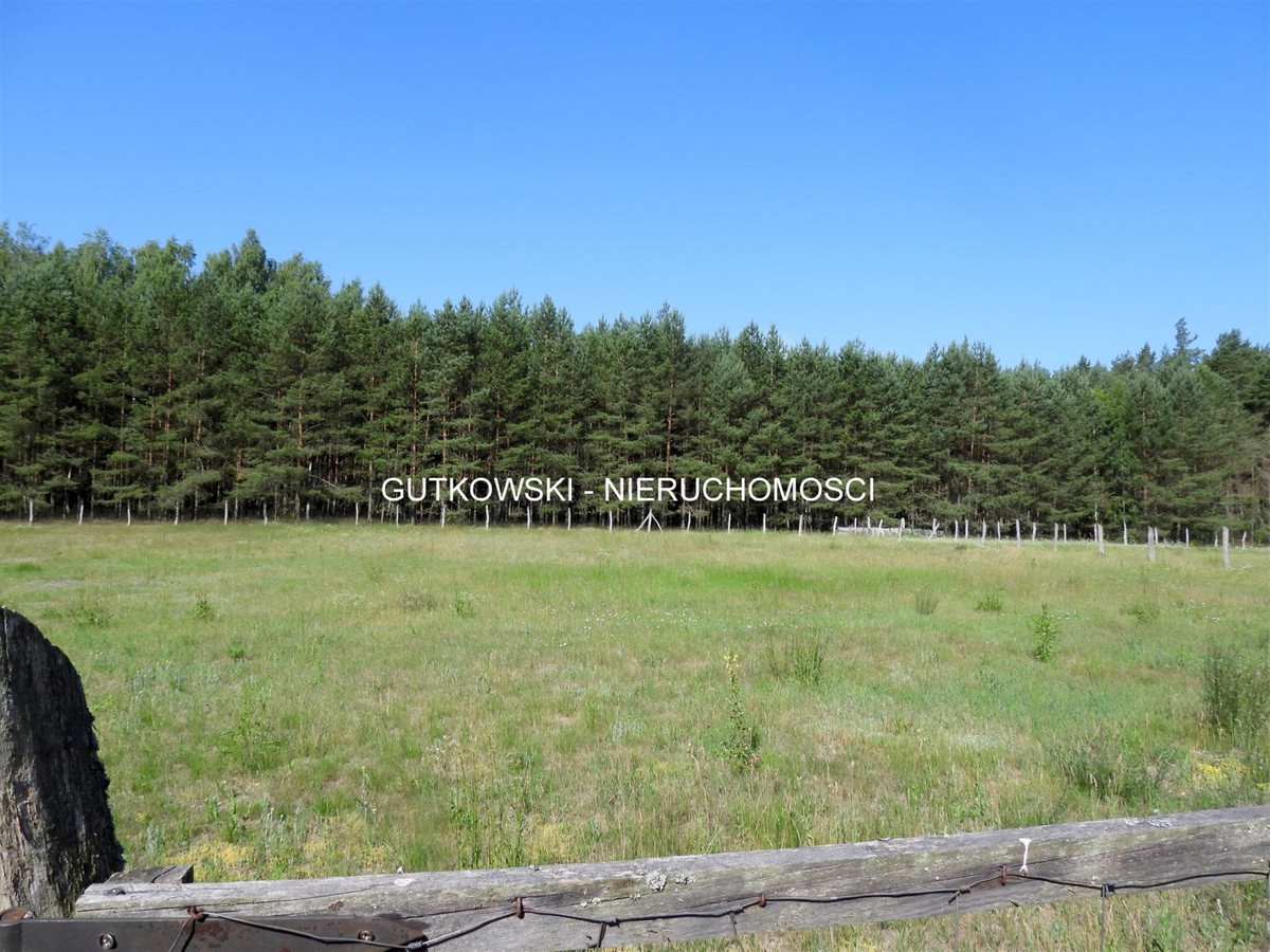 Teren rolno - leśny ~1,31 ha (gospod.) na Pojezierzu Brodnickim na Mazura - Widok 4
