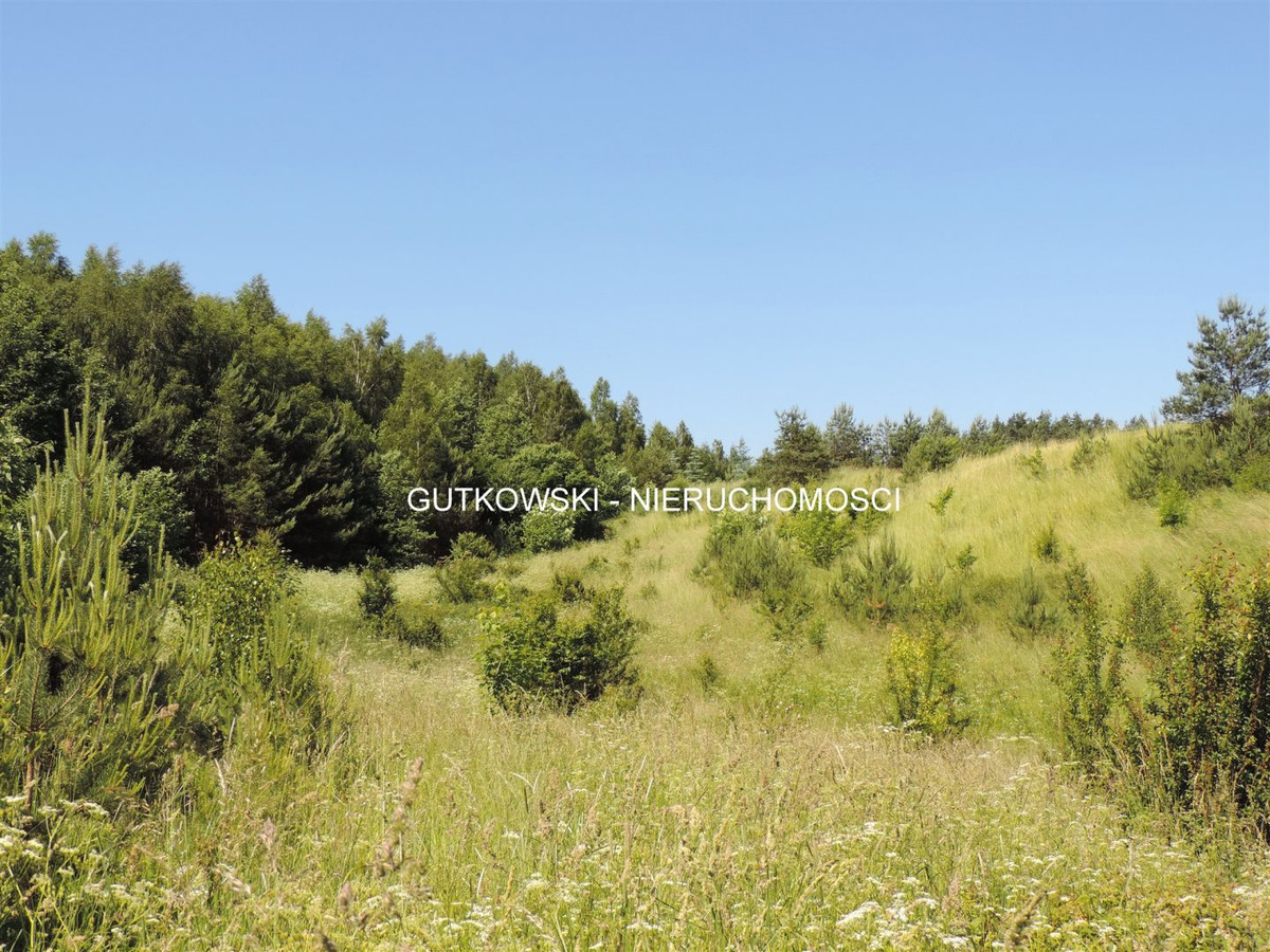 Teren rolno - leśny o pow. ~1,88 ha z WZ w Łąkach Bratiańskich k./ N. M. Lub - Widok 3