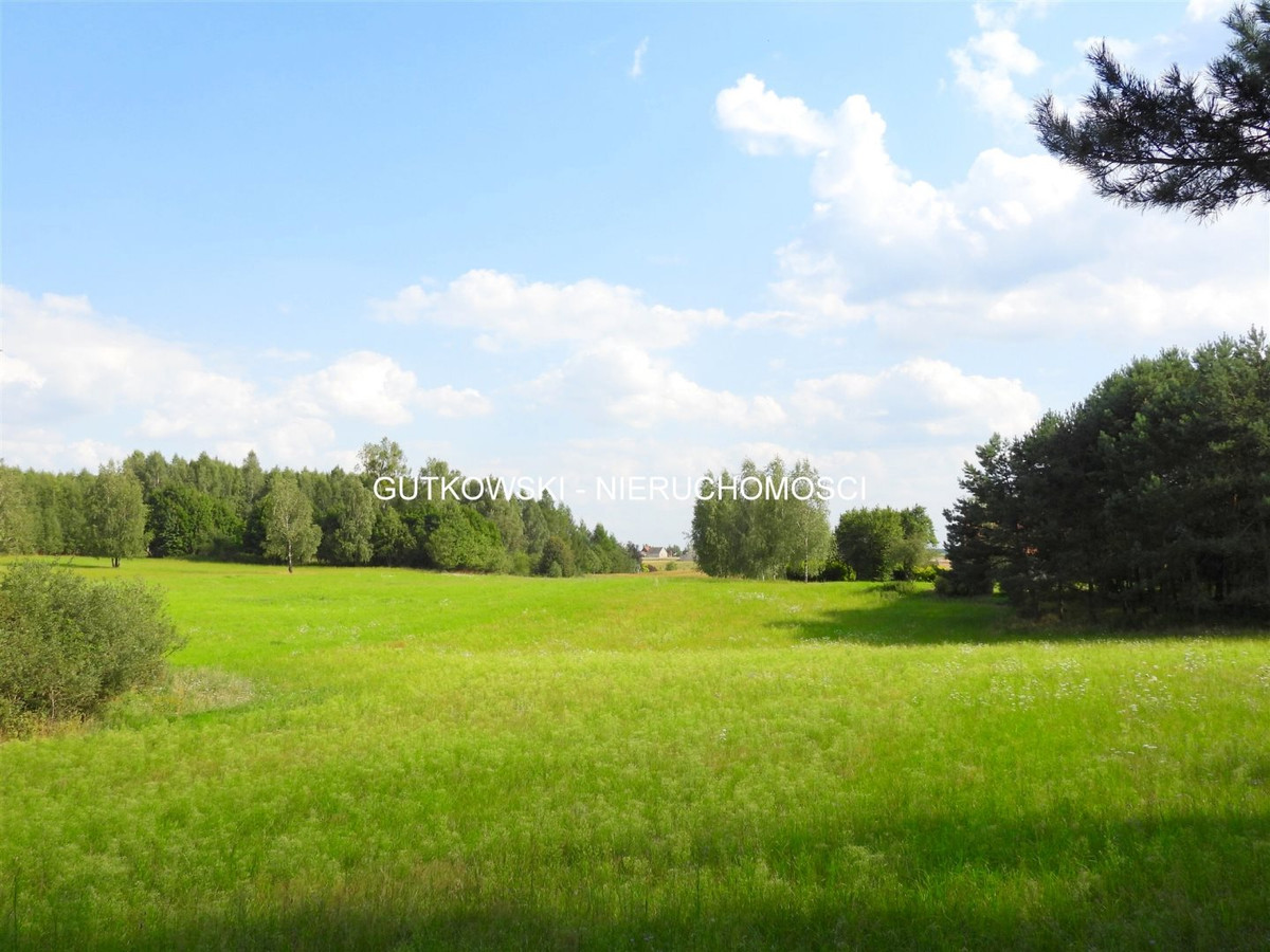 gratka-GUT-GS-93 - Widok 2