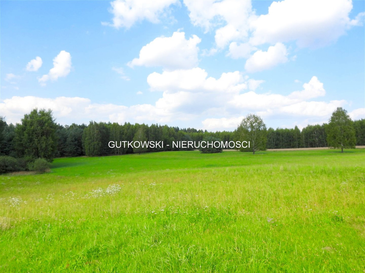 gratka-GUT-GS-93 - Widok 4