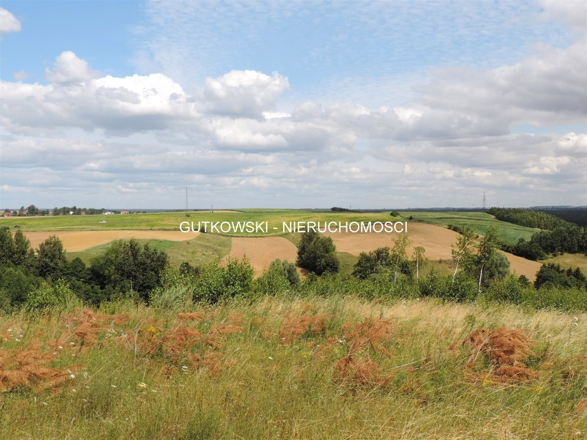 Teren rolno - leśny o pow. ~1,88 ha z WZ w Łąkach Bratiańskich k./ N. M. Lub - Widok 5