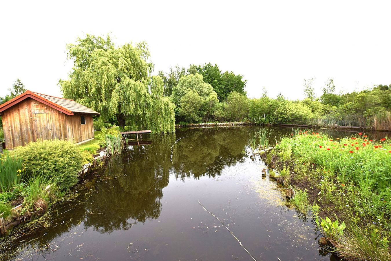 Dom – Różnowo - Więcej