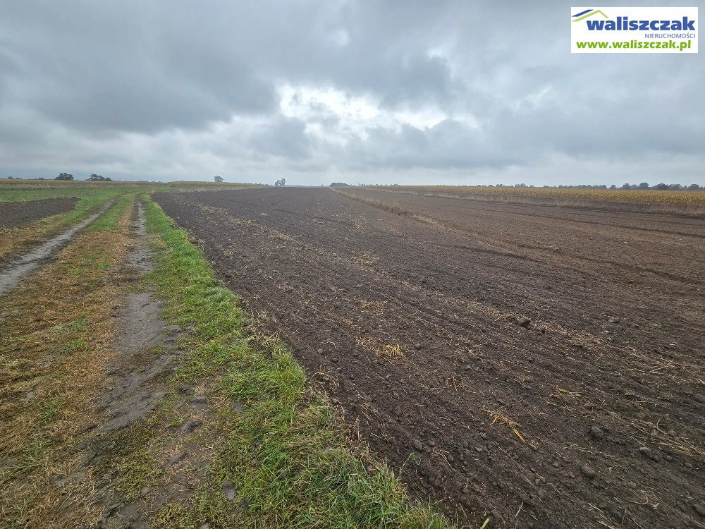 gratka-GS-15048 - Widok 2