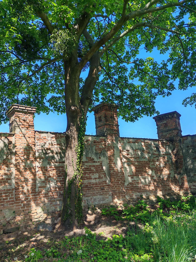 Dom – Popowo Kościelne, Osiedle Piastowskie - Więcej