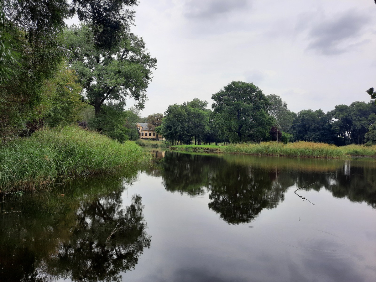 Dom – Popowo Kościelne, Osiedle Piastowskie - Widok 5