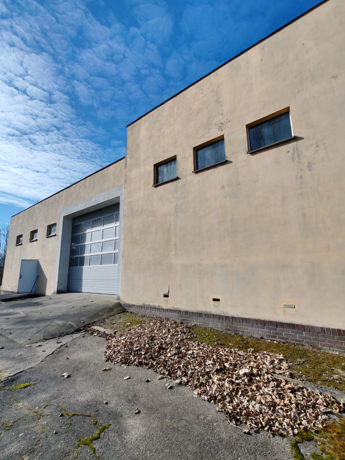 hala magazyn produkcja Rogoźno Rolna 1200 m² - Widok 5