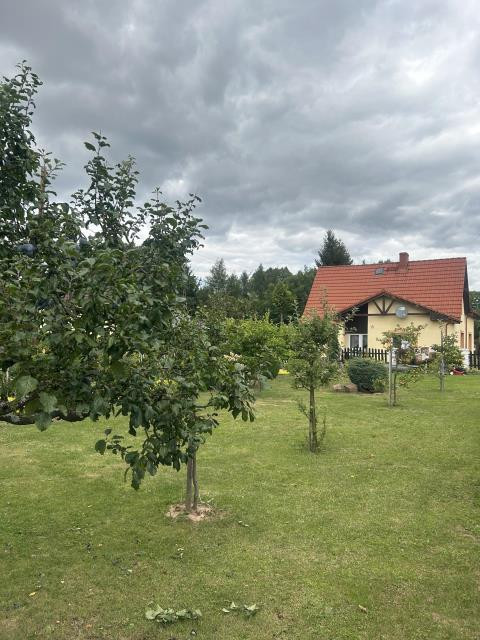 Dom – Radków, Ścinawka Średnia - Widok 2