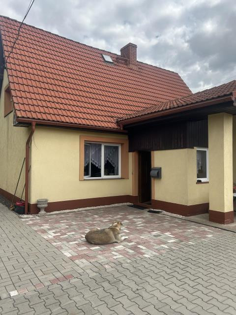 Dom – Radków, Ścinawka Średnia - Więcej