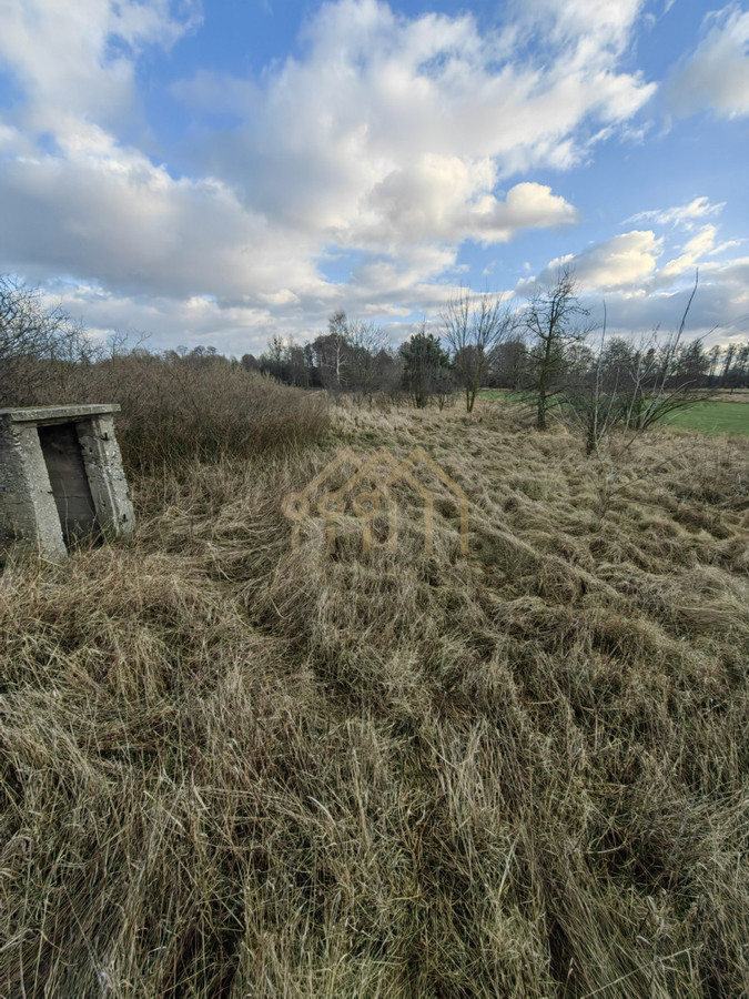 Działka 6100 m² | WZ na 3 domy | Kamion Mały - Widok 2