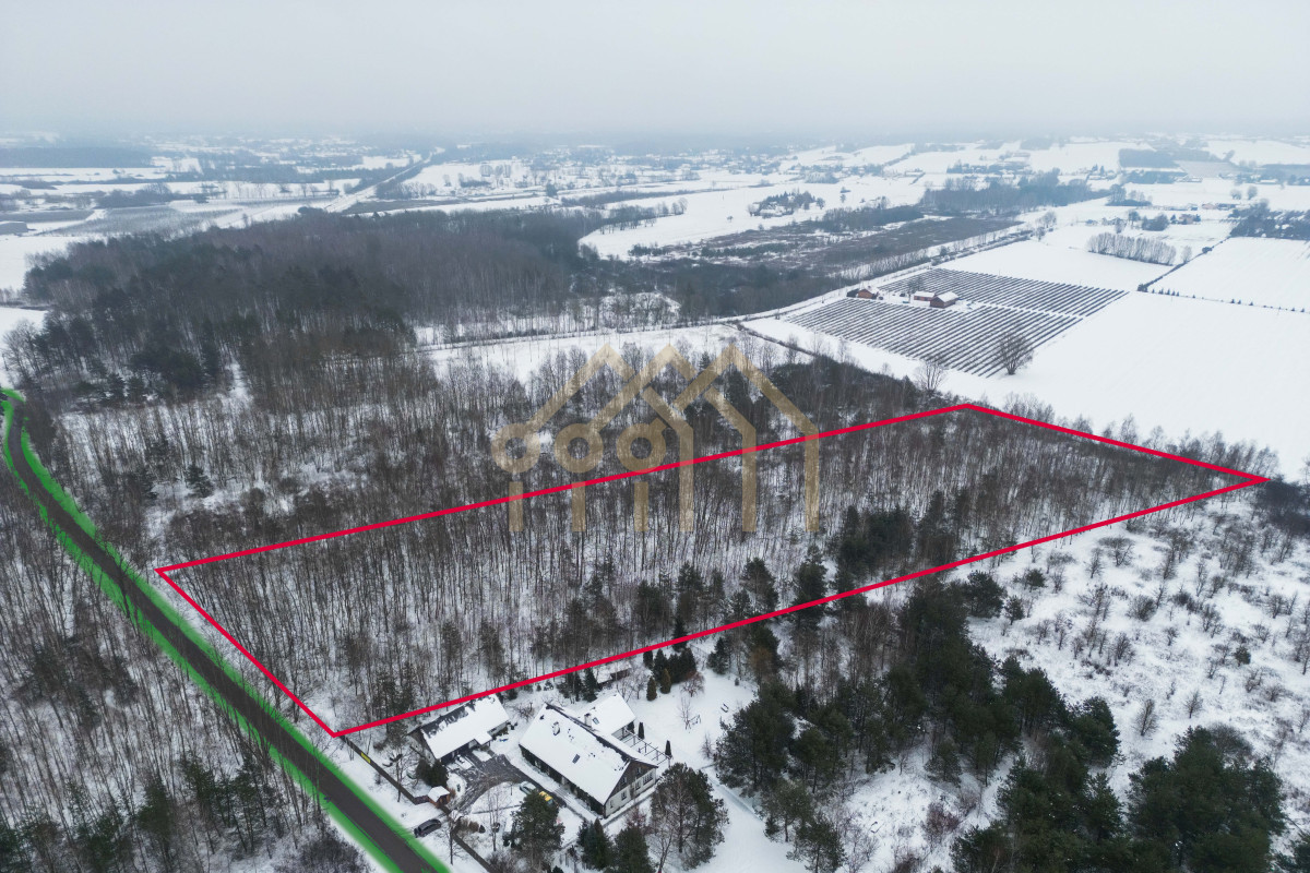 Działka Mieszkaniowo-Rolna/Prażmów/Ludwików - Widok 4