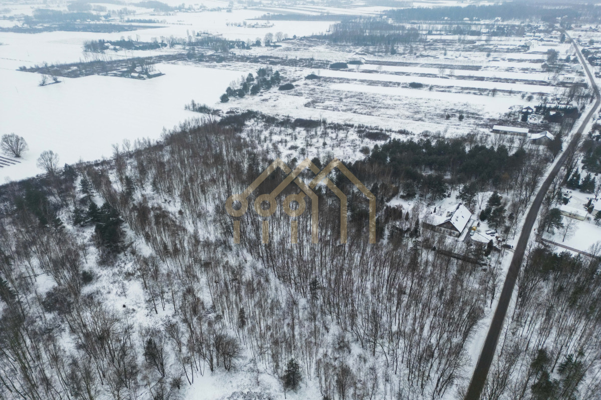 Działka Mieszkaniowo-Rolna/Prażmów/Ludwików - Widok 5
