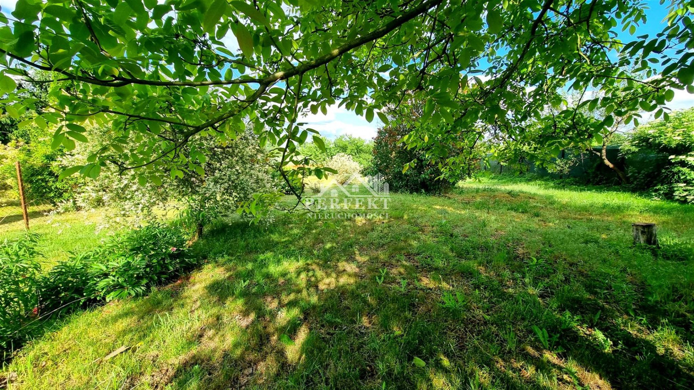 Dom z potencjałem, dużą działką i spokojną okolicą - Widok 4
