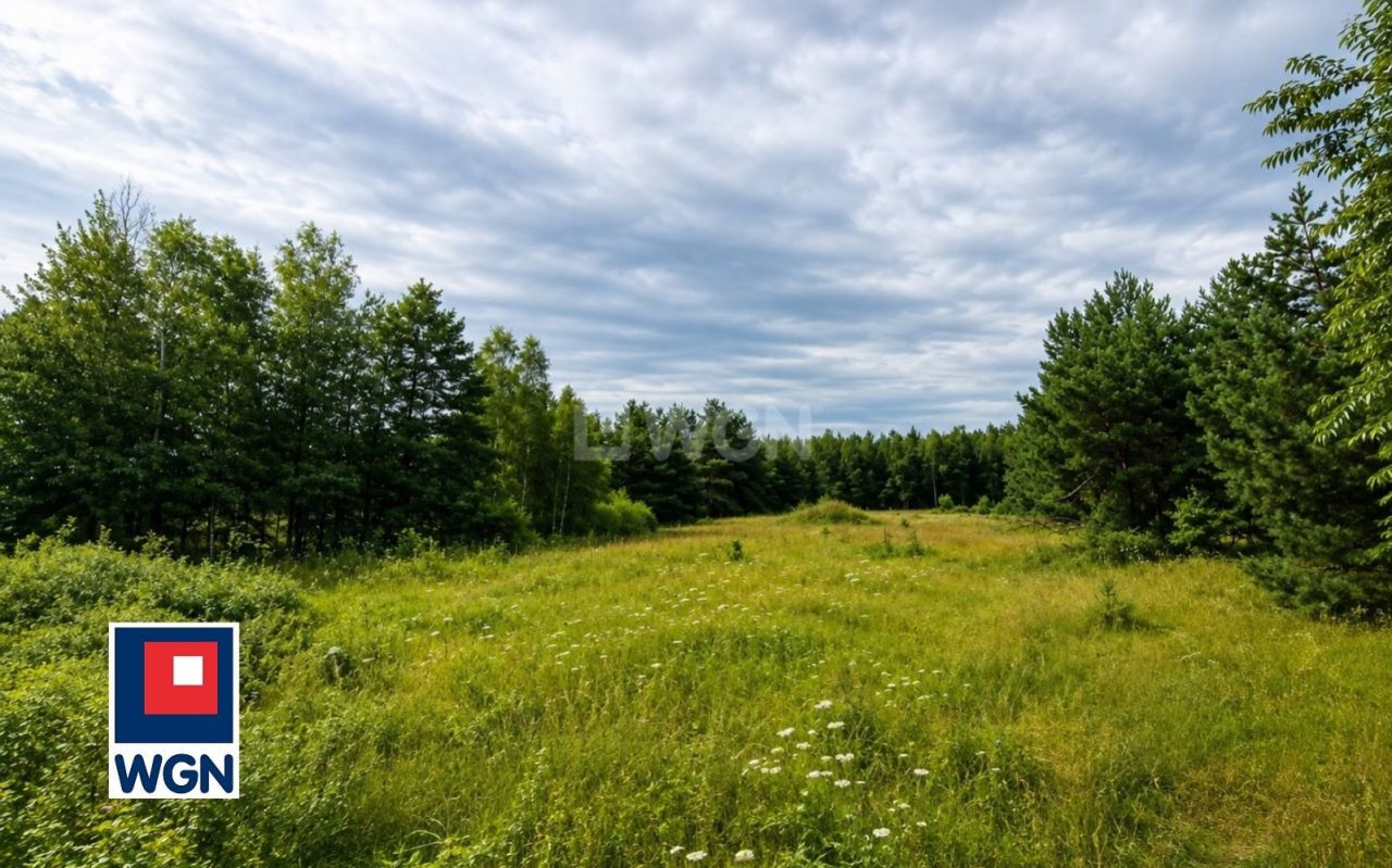gratka-43290032 - Widok 5