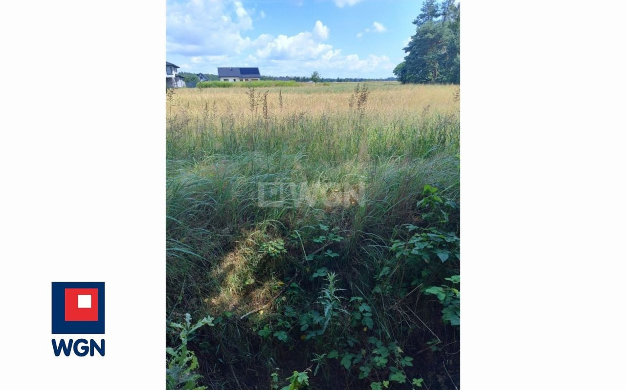 gratka-6020049 - Widok 3