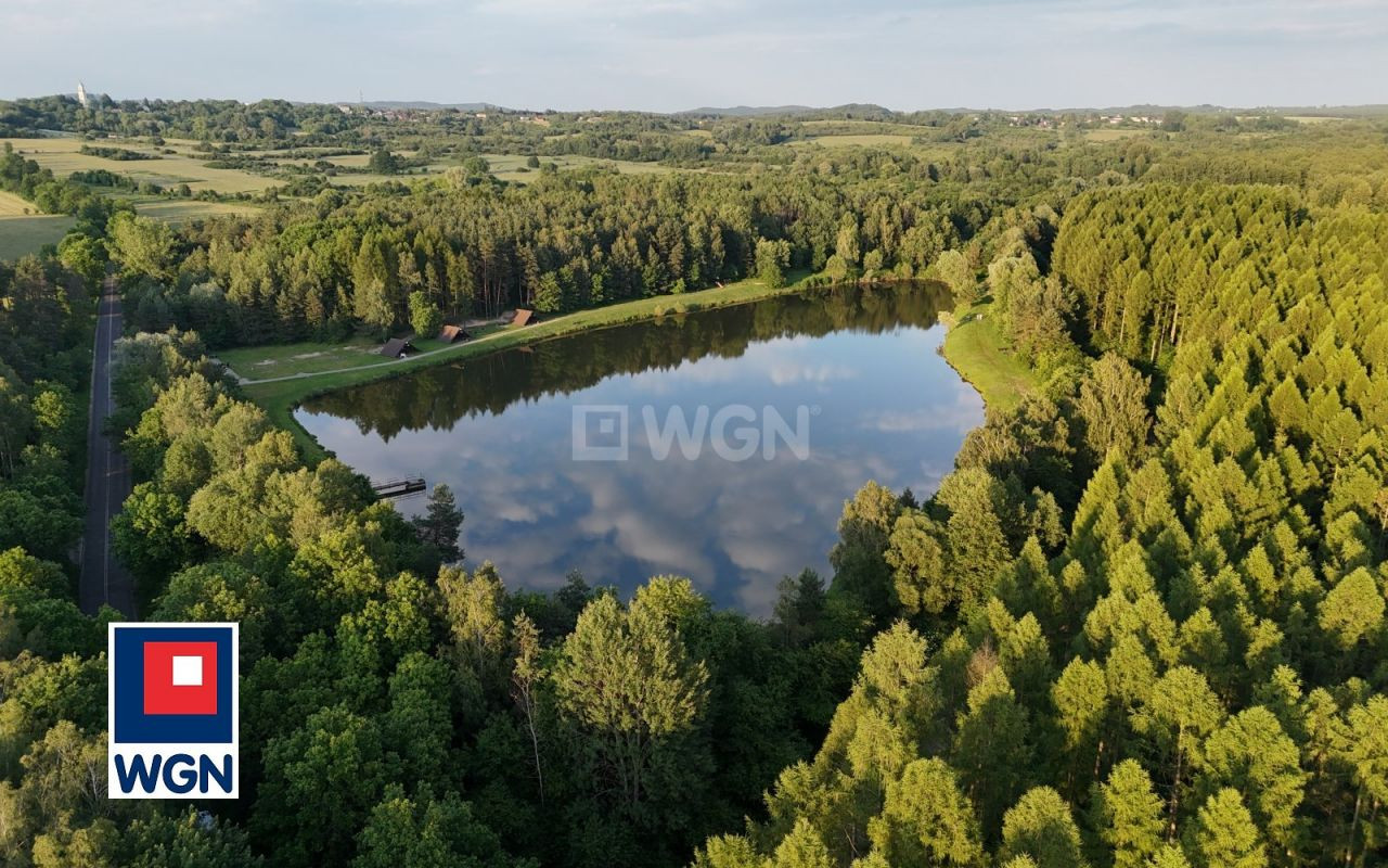 gratka-1950068 - Widok 3