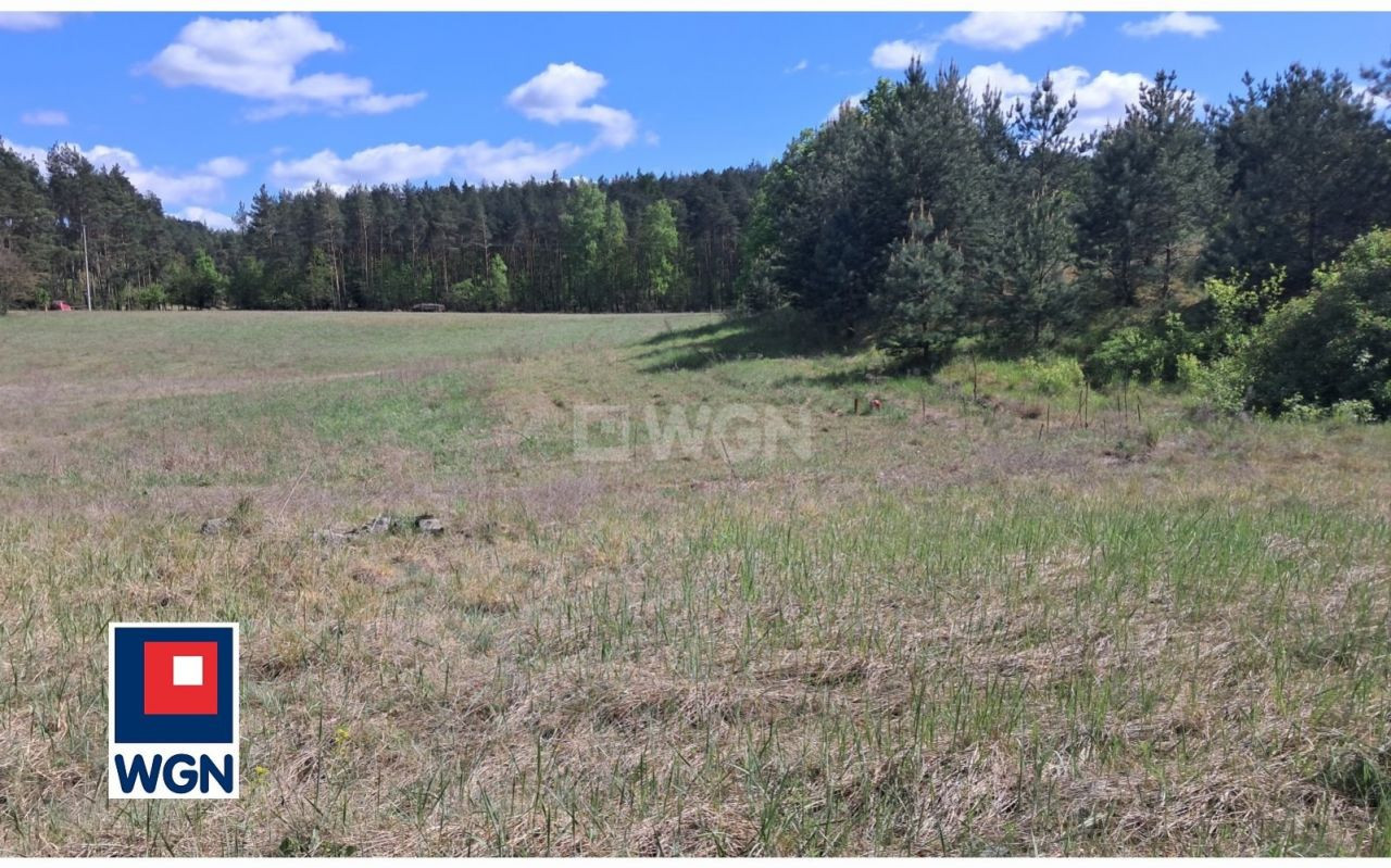 gratka-25880154 - Widok 4