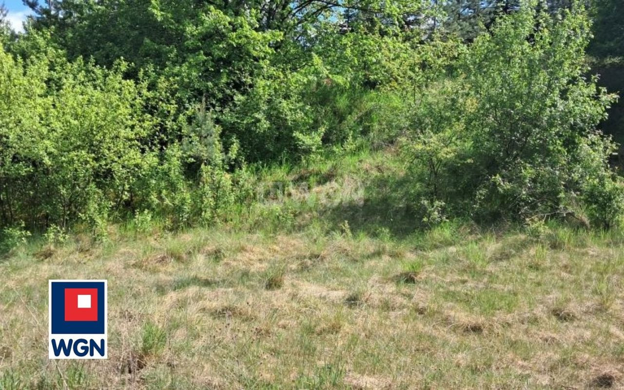 gratka-25880154 - Widok 6