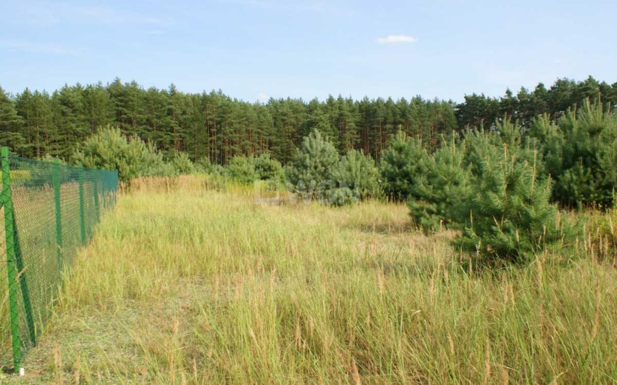 gratka-34430152 - Widok 3