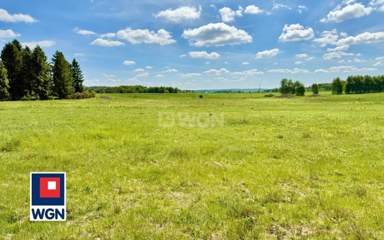 gratka-350780030 - Więcej