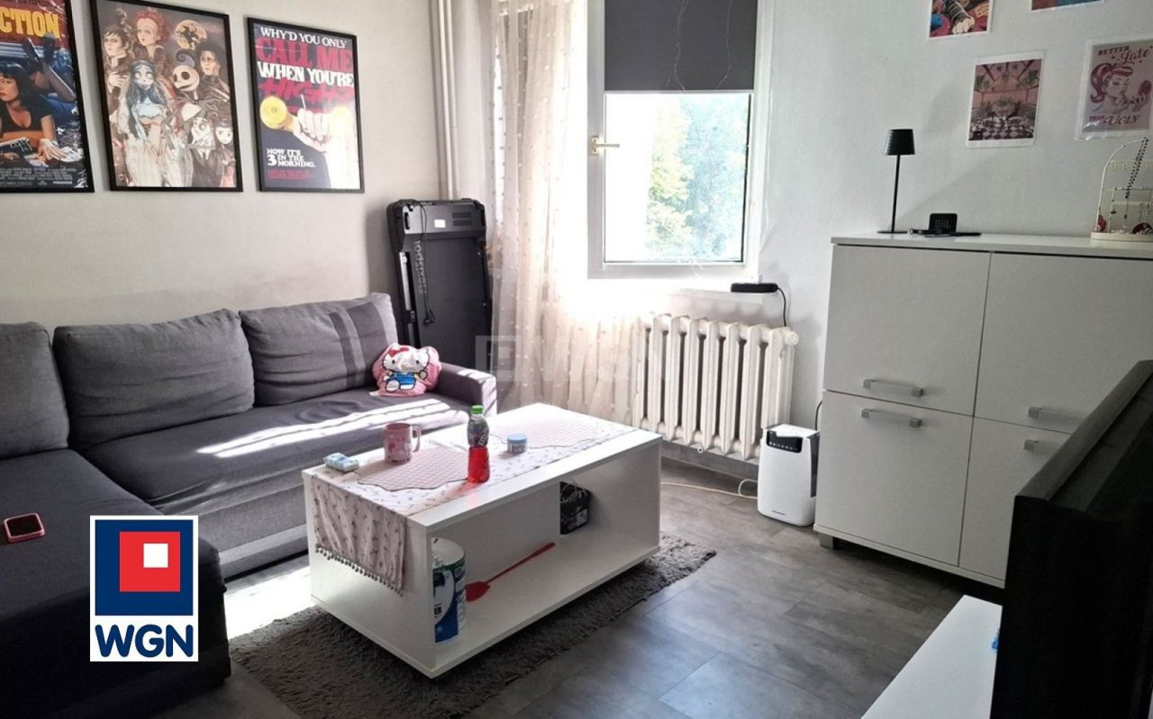gratka-46040201