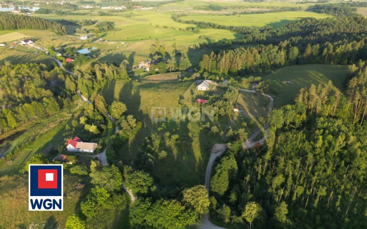 gratka-41130032 - Więcej